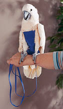 flight suit for birds
