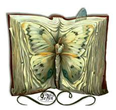book fairy