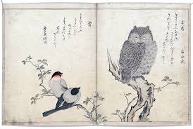 printable 2008 blank calendars monthly calendars