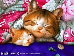 gatos bonitos