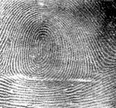 types fingerprints