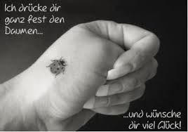 drücke dir die daumen