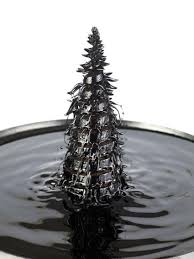 magnetic fluids
