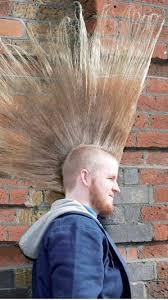 photo coiffure punk