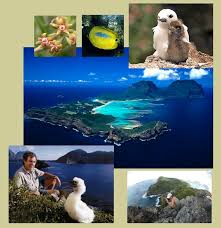 on Lord Howe Island check