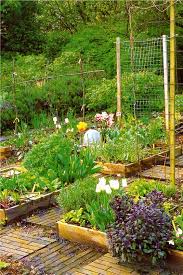jardin carres