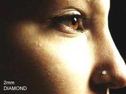nose ring studs