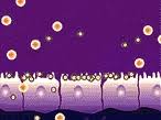 leaky gut syndrome
