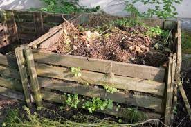 homemade compost