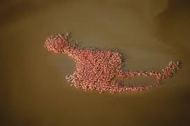 flamingo yard art