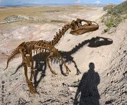 utah fossils