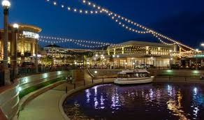 the woodlands