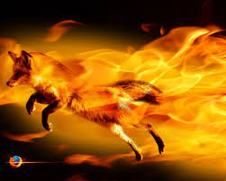 fire fox