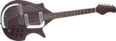 rogue electric sitar