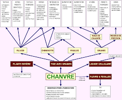 chanvre