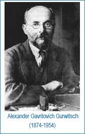 gurwitsch
