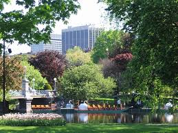 boston public gardens