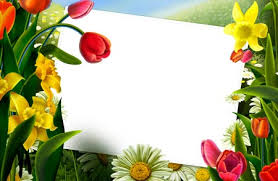 adobe photoshop psd