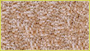 natural sesame seed