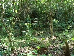 areas naturales protegidas de mexico
