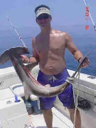 shark fishing pictures