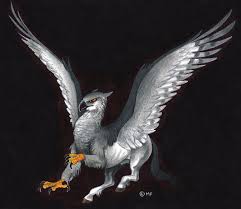 griffons