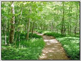 تستطيع أن ترى الصورة بحجمها الطبيعي بعد الضغط عليها