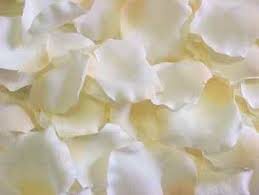 cream silk