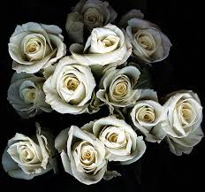 ابيك والله Beautiful-wedding-flowers-white-rose-bouquet-photo