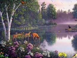 fairy screensavers