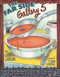 far side galleries