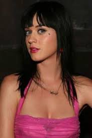 EXCLUSIVE: I Kissed A Girl (Your Mum) by Katy ...