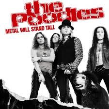 the poodles