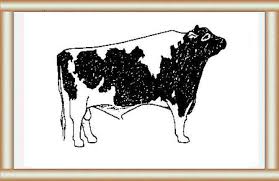 list of indian agri universities
