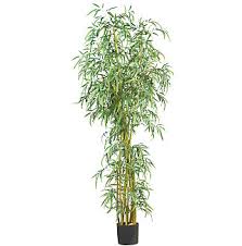 bamboo silk
