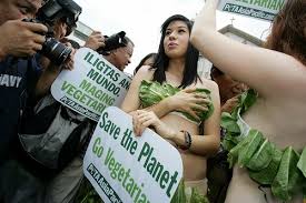 vegit