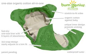 flip bumgenius