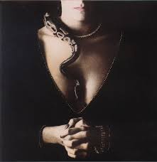 Whitesnake - Slide It In