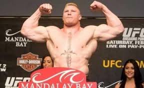 ufc mma