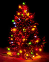 christmas tree outdoor