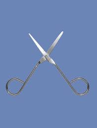 blunt scissors