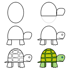 drawing turtles