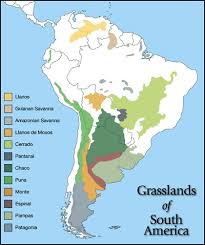 savanna climate