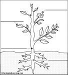 wwe printable test