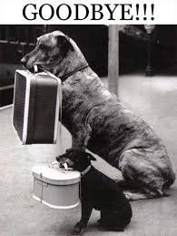 Dogs/Goodbye Pictures