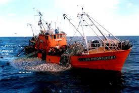 pesqueros