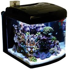 aquariums cube