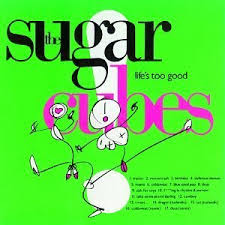 Bjork - Life's Too Good