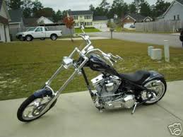 big dog customs