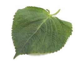 asian herbs